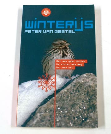 BT2005 Winterijs 9789034528674 P. van Gestel, Verzenden, Gelezen, P. van Gestel
