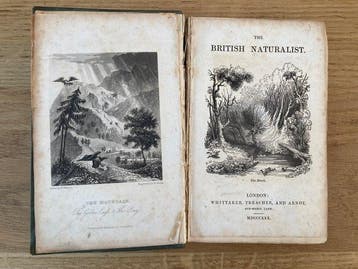 Robert Mudie - The British Naturalist (1st edition), 2, Antiek en Kunst
