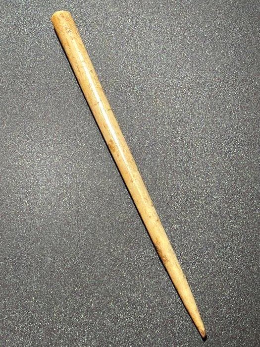 Oud-Romeins Been Zeldzaam en volledig onbeschadigd, Collections, Minéraux & Fossiles