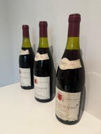 1983 Pavelot Glantenay - Savigny lès Beaune - 3 Bouteilles, Collections, Vins