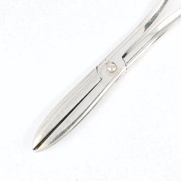 Gerritsen & van Kempen - Druivenschaar - .833 zilver, Antiek en Kunst, Antiek | Zilver en Goud
