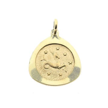 Gouden sterrenbeeld hanger; Steenbok (Hanger of bedel), Ophalen of Verzenden, Gebruikt, Goud, Overige merken