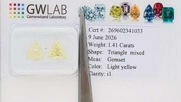 Sans prix de réserve - 2 pcs Diamant (Couleur naturelle) -, Handtassen en Accessoires, Edelstenen, Nieuw