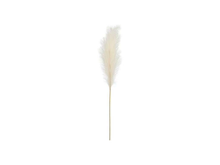 Droogbloemen Pampas 1,1m, Hobby & Loisirs créatifs, Articles de fête, Envoi