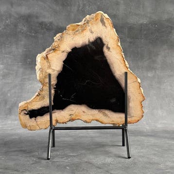 Magnifique tranche de bois pétrifié sur un socle