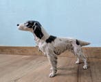 Goebel - Goebel - Beeld, Setter hond 1973 - 21 cm -