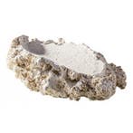 ARKA Tridacna Holder M, Verzenden