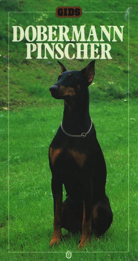 Dobermann Pinscher / Gids 9789051120905 J. Richardson, Livres, Loisirs & Temps libre, Envoi
