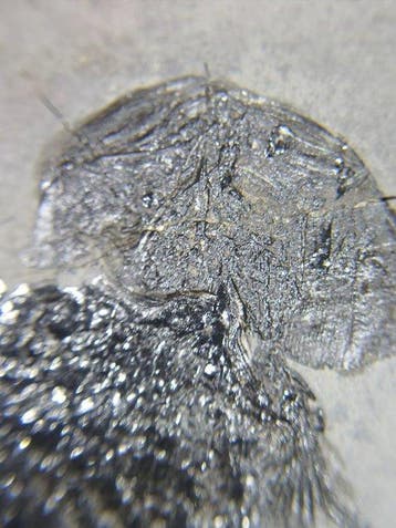mini - Gefossiliseerd dier - Asialepidotus shingyiensis - 7