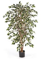 Kunstplant Ficus Nitida Mixed 120 cm, Verzenden