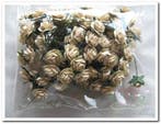 Mulberry Roosjes Creme 10-15 mm pak, Nieuw