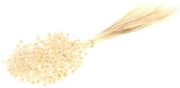 Hill flower bleached white fijne droogbloemen 100gr, Nieuw