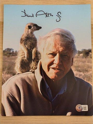 Sir David Attenborough - Planet Earth - Autograph, Photo, Nieuw