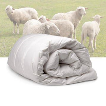 4 Seizoenen wollen dekbed 4 seizoenen - 200/200, Maison & Meubles, Chambre à coucher | Linge de lit, Deken of Dekbed