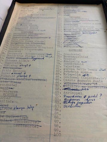 Microscope slide - botany plant algae slides - 1940-1950