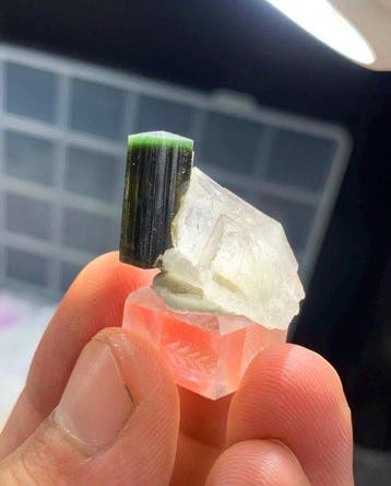Cristal de tourmaline à cap bleu et vert sur quartz —
