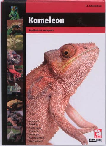 Kameleon / Over Dieren 9789058216182 F.J. Schonenberg, Boeken, Verzenden, Zo goed als nieuw, F.J. Schonenberg