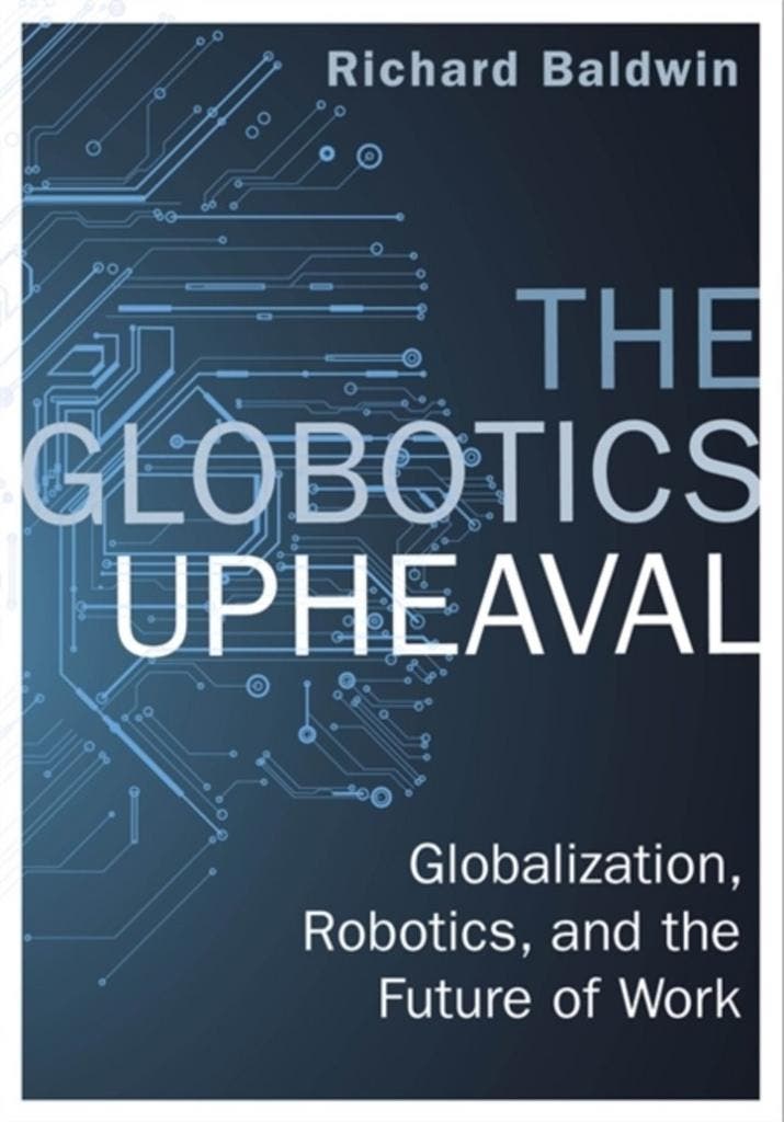 The Globotics Upheaval 9781474609029 Richard Baldwin, Boeken, Taal | Engels, Gelezen, Verzenden