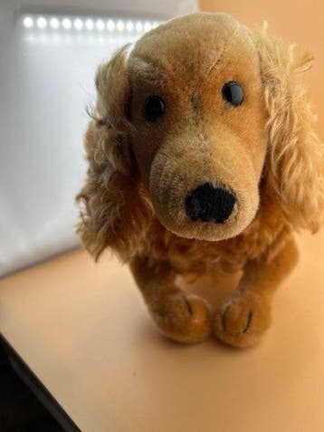 Steiff - Pluche speelgoed Waldi - 1970-1980 - Duitsland