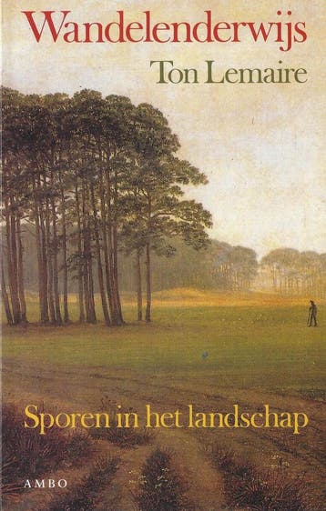 Wandelenderwijs 9789026314872 T. Lemaire, Verzenden, T. Lemaire
