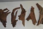 Heavy Wood / Kienhout 11-17cm groot, aquarium decoratie hout, Dieren en Toebehoren, Ophalen of Verzenden, Nieuw, Plant(en), Steen of Hout