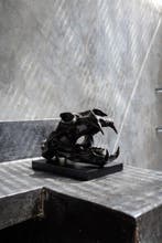 Sculpture, Heavy Scale 1:1 Polar Bear skull in finest bronze