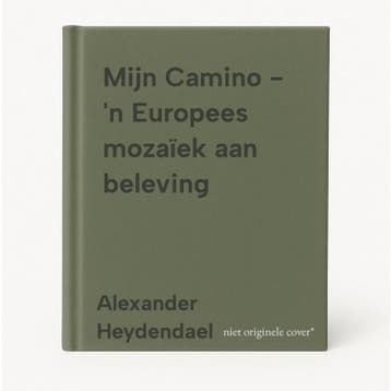 Mijn Camino - n Europees mozaïek aan beleving 9789077983935, Boeken, Verzenden, Zo goed als nieuw, Alexander Heydendael