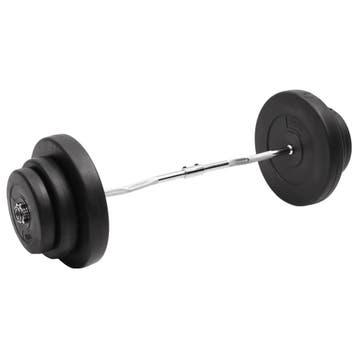 vidaXL Halter gebogen met gewichten 60 kg, Verzenden