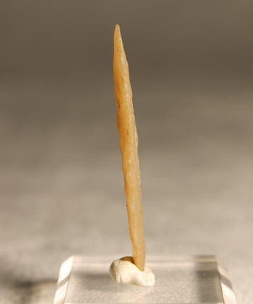 Neolithisch Silex Pijlpunt - 4.2 cm (Zonder minimumprijs)