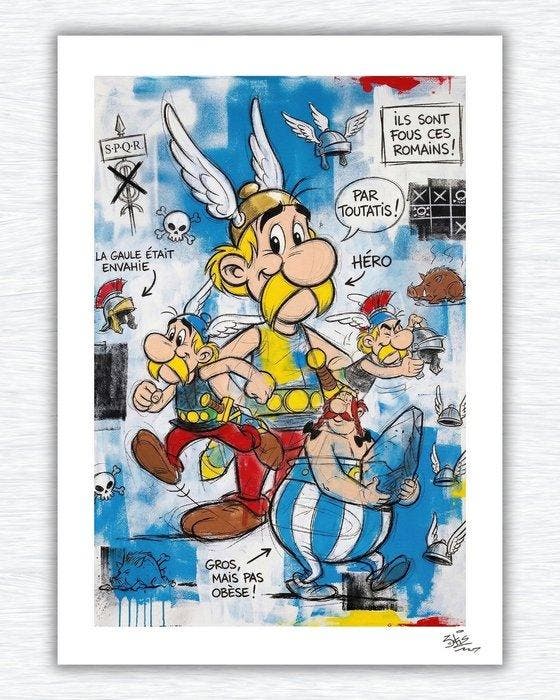 SKE - Les Irréductibles, Antiek en Kunst, Kunst | Designobjecten