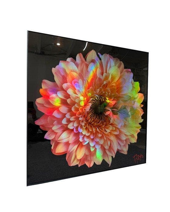 FANO (XX) - Fleurs Chromatiques, Antiek en Kunst, Kunst | Schilderijen | Modern