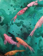 Valeria Pesce - PINK FISH