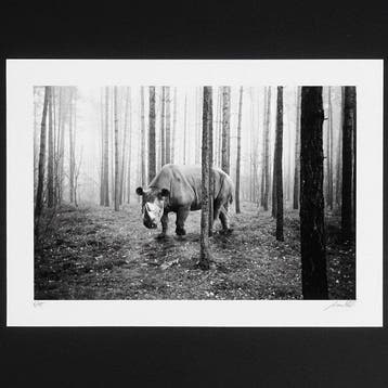 Frank Machalowski - tierwald#141 - Rhino