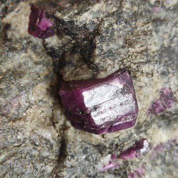 Robijn Kristallen op matrix - Hoogte: 9 cm - Breedte: 15 cm-, Verzamelen, Mineralen en Fossielen