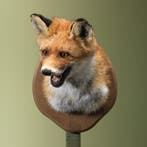 Vos Taxidermie Opgezette Dieren By Max, Verzamelen, Ophalen of Verzenden, Nieuw, Wild dier, Opgezet dier