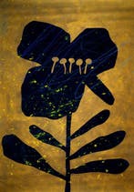 Lupo - Urban Jungle 412 - Certificated - Real Gold - XXL