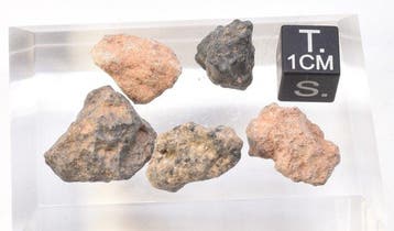 Maanmeteorit Bechar 007 - Algerije - 10.59 g