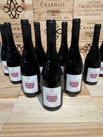 2020 Domaine du Roujou Cuvée Silex - Saumur - 12 Flessen, Nieuw