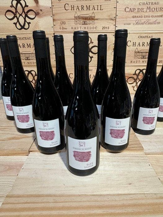 2020 Domaine du Roujou Cuvée Silex - Saumur - 12 Flessen, Verzamelen, Wijnen