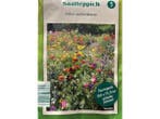 Veiling - 5x Zaadmat Balkon bloemen 1,80bij 13,3 cm breed, Tuin en Terras, Planten | Tuinplanten