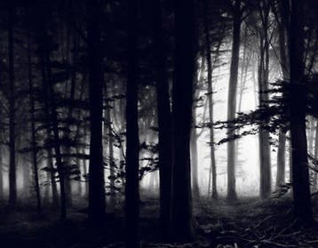 Robert Longo (1953) - Untitled (Forest of Doxa), 2014