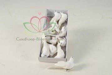 Duifjes Witte duiven 10x3 cm en 5x4 cm doos 12 stuks