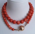 Chaîne - 14 carats Or jaune - corail Momo japonais