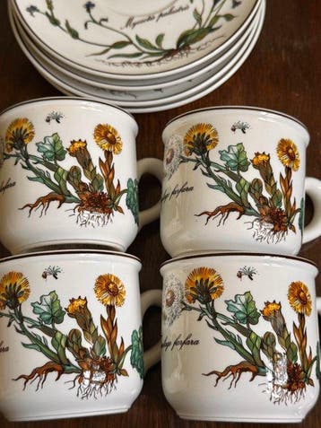 Villeroy & Boch - Koffieservies (8) - Botanica - Porselein -