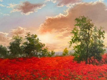 Emre Kinali - Sunset and anemones