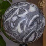 schelpsteen Bol van schelpensteen van hoge kwaliteit -, Verzamelen, Mineralen en Fossielen