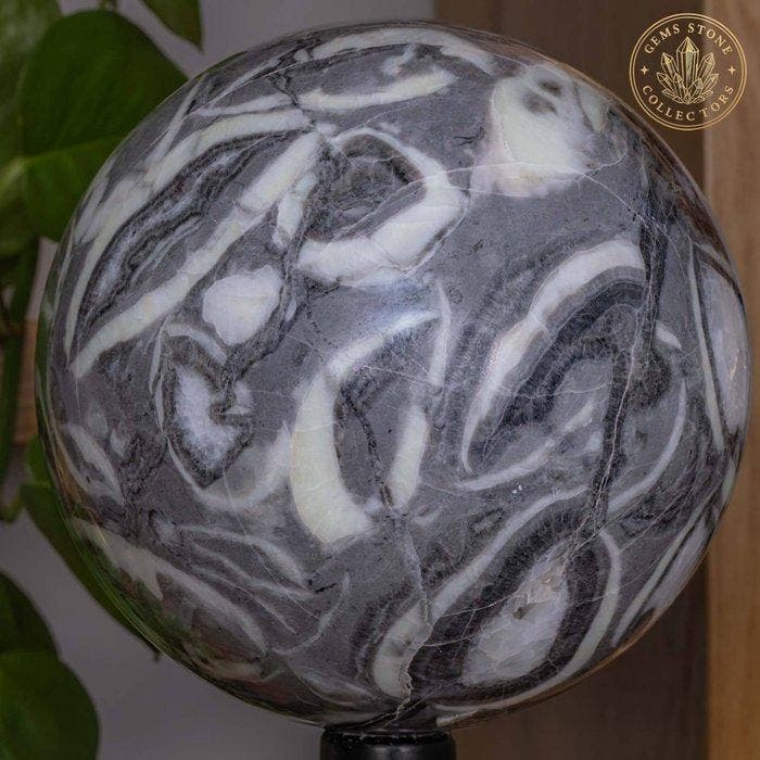 schelpsteen Bol van schelpensteen van hoge kwaliteit -, Verzamelen, Mineralen en Fossielen