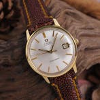 Omega - Seamaster - Zonder minimumprijs - 166.002 - Heren -, Nieuw