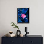 Viet Ha Tran - Light in the dark