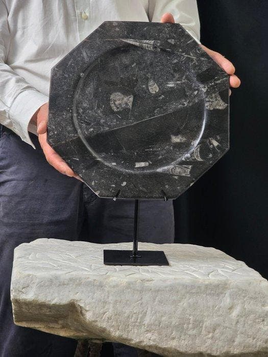 Assiette - Marbre fossilisé, Collections, Minéraux & Fossiles